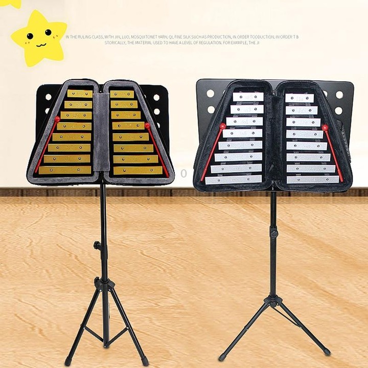 JZ-35 16-Tone Double Row Carillon Orff Percussion Instrument, Color: Silver