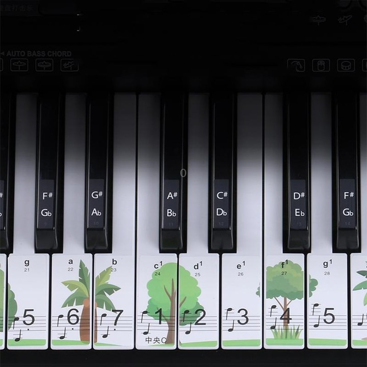 M52 88/76/61/54/49 Keys Piano Keyboard Stickers(Giraffe)