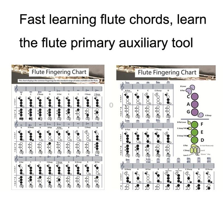 Coated Paper Flute Chord Fingering Practice Chart Staff Chord Fingering(Small)