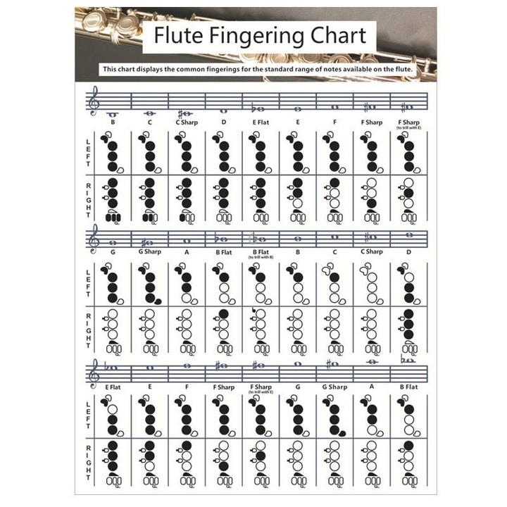 Coated Paper Flute Chord Fingering Practice Chart Staff Chord Fingering(Large)