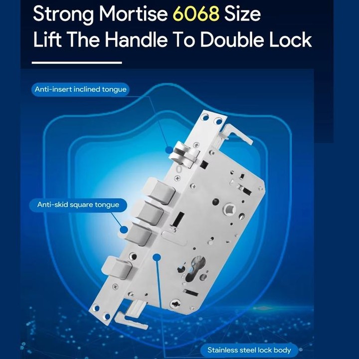 A60 Smart Fingerprint Password Door Lock With Doorbell, Spec: Tuya APP Version Gold
