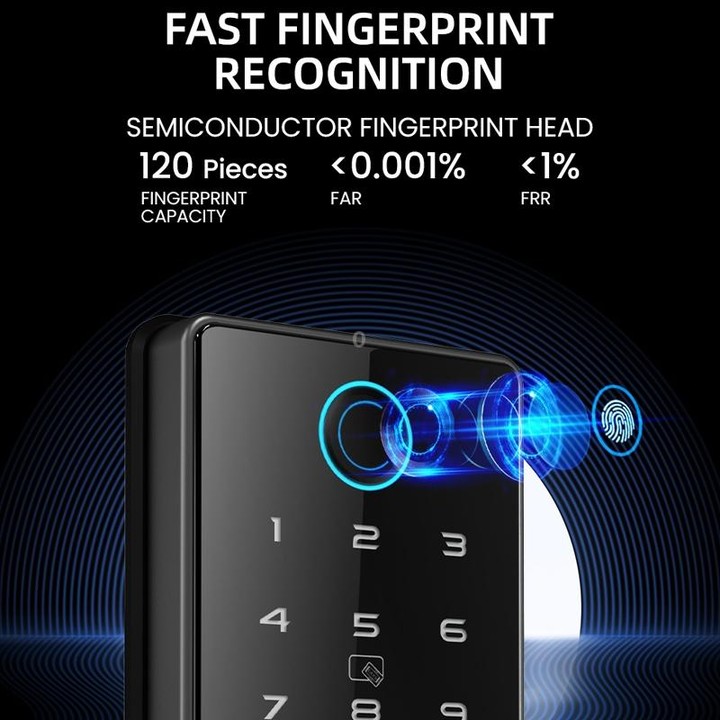 C87 Automatic Fingerprint Lock Entry Door Password Smart Lock(Black)