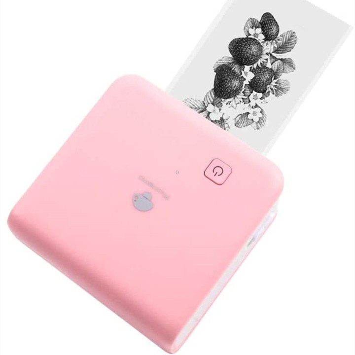 Phomemo M02 PRO Pocket Mini Small Portable Bluetooth Wrong Thermal Tag Printer(Pink)