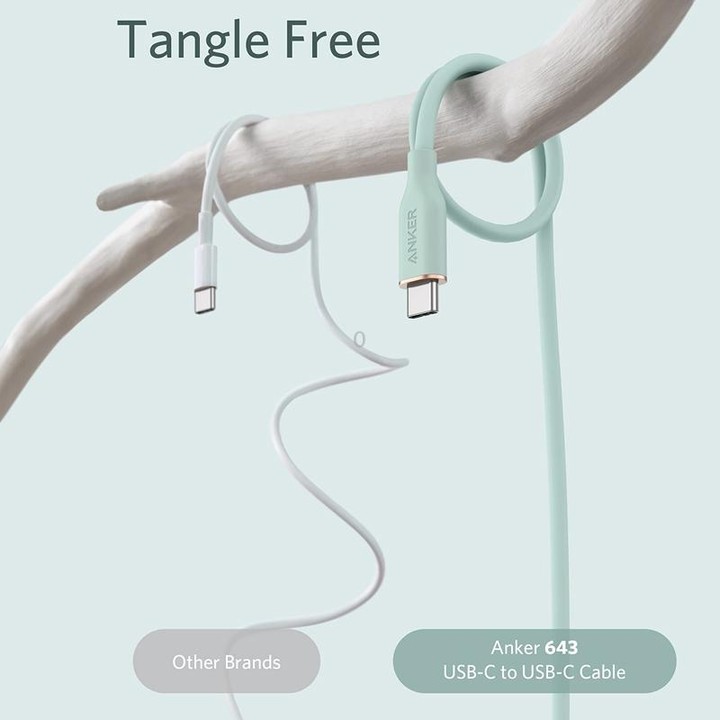 ANKER A8553 Powerline III 1.8m Skin Friendly Dual Type-C Data Cable PD100W Fast Charging Cable(Black)