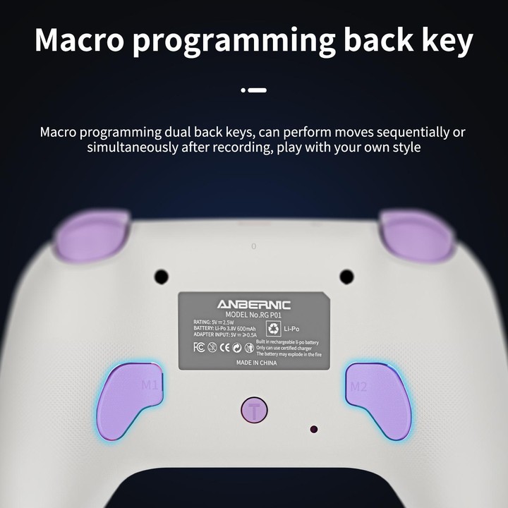 ANBERNIC RGP01 Multi-Platform Gaming Controller for PC/Switch/Steam With Hall Effect Joystick & Triggers, 3-Mode Connectivity, R