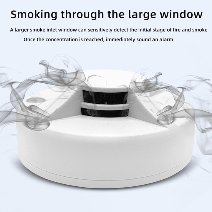 Standalone Smoke Alarm Household Fire Smoke Detector, Style: Russian