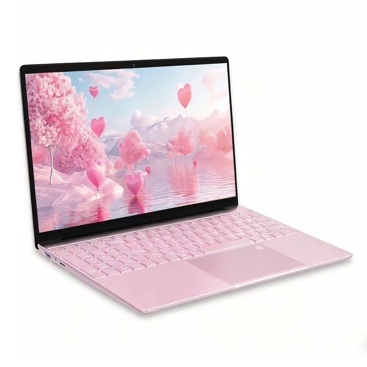 GXMO T152J 15.6 inch Laptop, 16GB+512GB, Windows 11 Pro Intel Celeron N5100 Quad Core, Support Fingerprint Unlock, US Plug (Pink