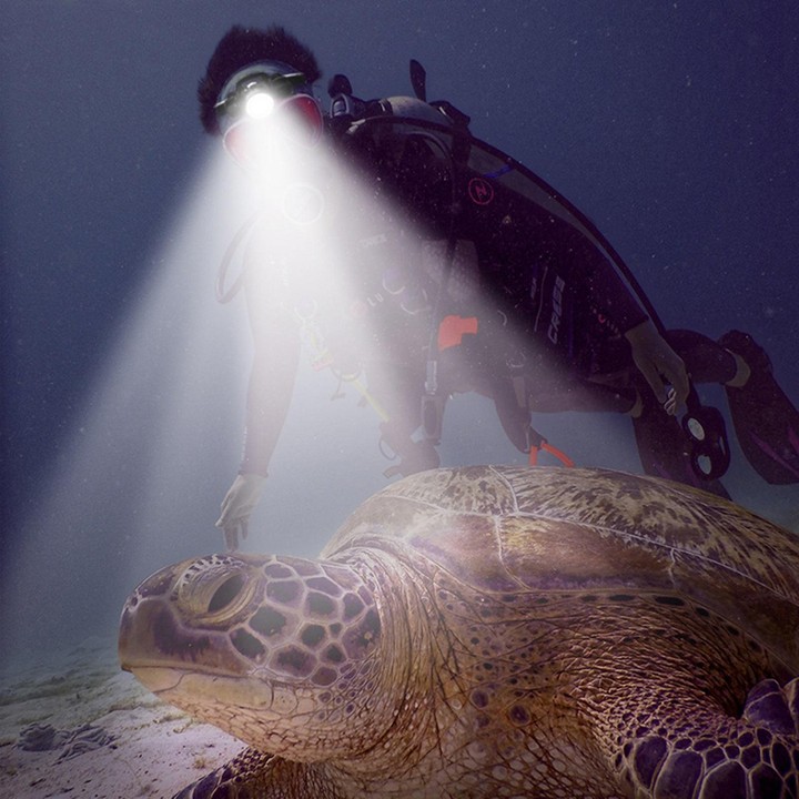 60m Underwater Photography Video Fill-up Headlight Diving Flashlight with Battery Display Function(Headlight)